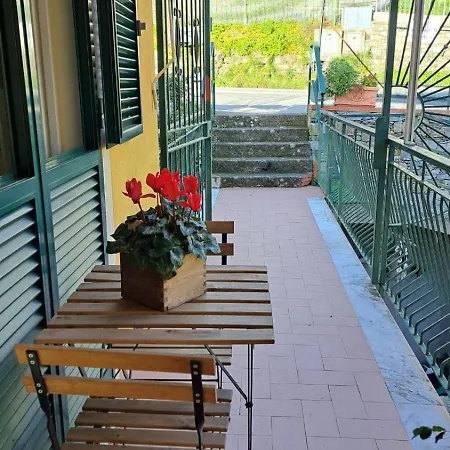 Aaut Il Noce Codice Citra 010029-lt-0025 Holiday home *